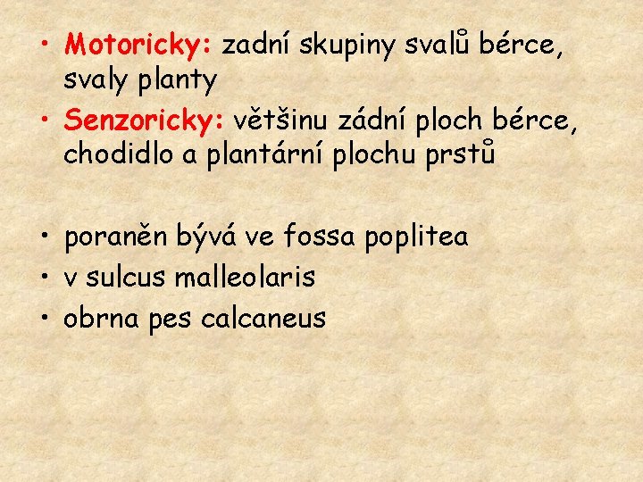  • Motoricky: zadní skupiny svalů bérce, svaly planty • Senzoricky: většinu zádní ploch