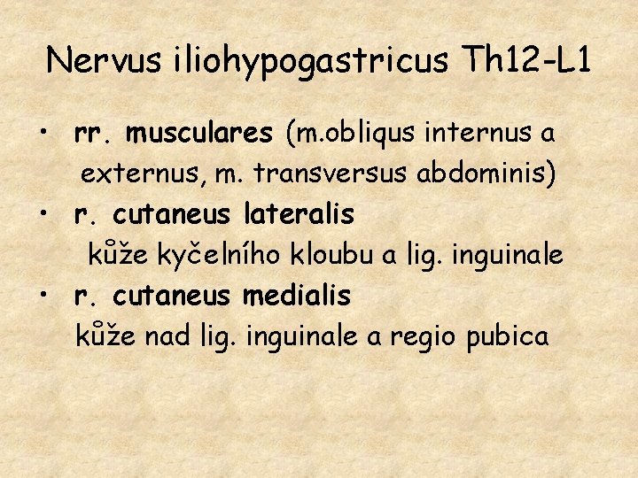 Nervus iliohypogastricus Th 12 -L 1 • rr. musculares (m. obliqus internus a externus,