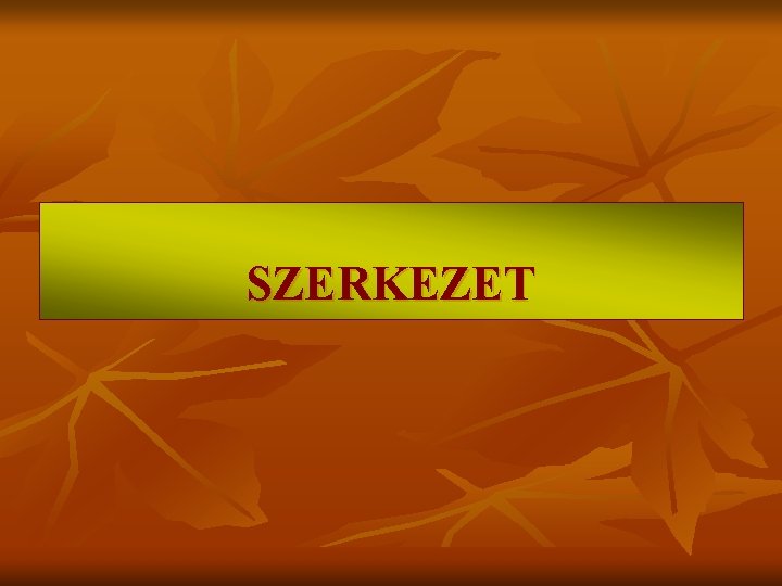 SZERKEZET SZERKEZET