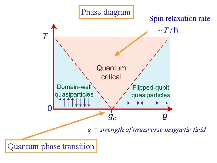 Phase diagram g = strength of transverse magnetic field Quantum phase transition 