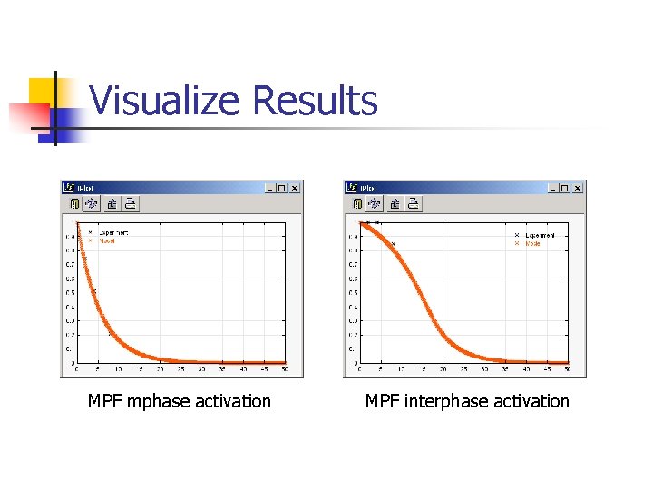 Visualize Results MPF mphase activation MPF interphase activation 