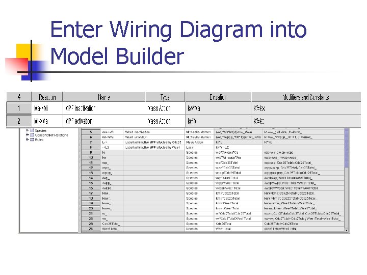 Enter Wiring Diagram into Model Builder 