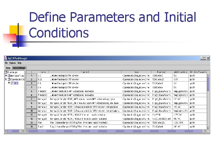 Define Parameters and Initial Conditions 