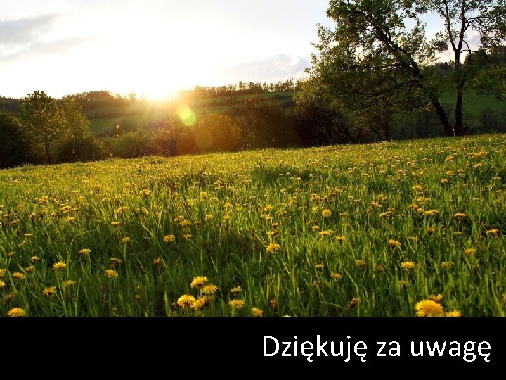 Dziękuję za uwagę 