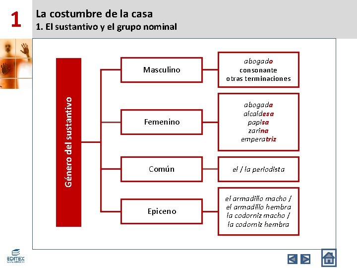 1. El sustantivo y el grupo nominal Género del sustantivo 1 La costumbre de