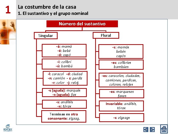 1 La costumbre de la casa 1. El sustantivo y el grupo nominal Número