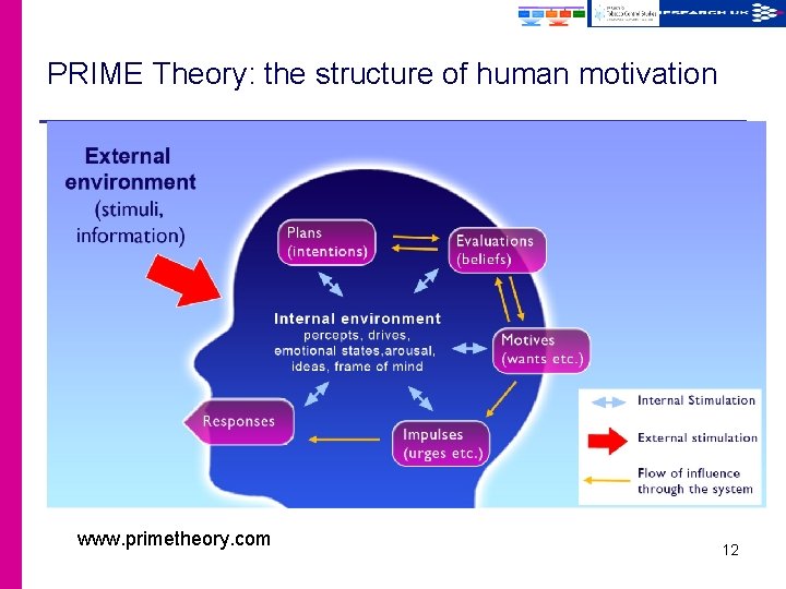 PRIME Theory: the structure of human motivation www. primetheory. com 12 