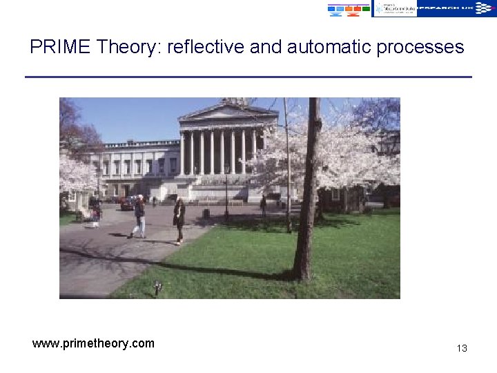 PRIME Theory: reflective and automatic processes www. primetheory. com 13 