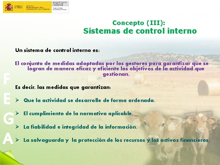 Concepto (III): Sistemas de control interno Un sistema de control interno es: F E