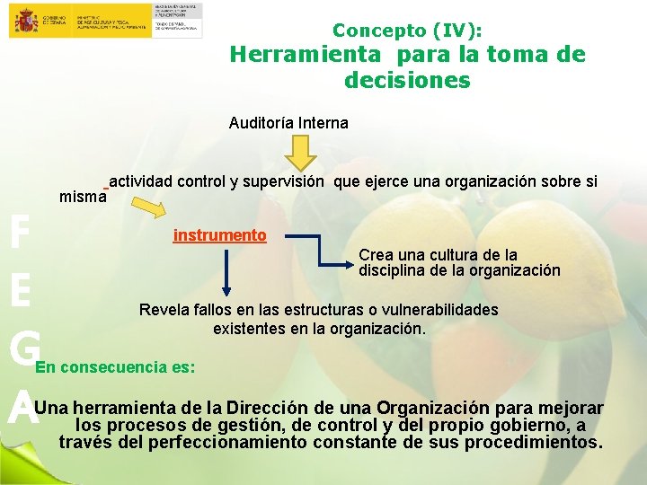 Concepto (IV): Herramienta para la toma de decisiones Auditoría Interna misma F E G