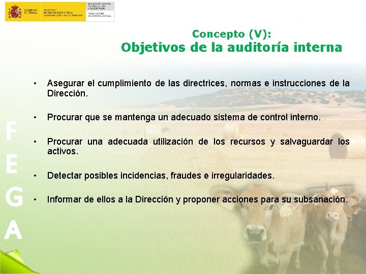 Concepto (V): Objetivos de la auditoría interna F E G A • Asegurar el