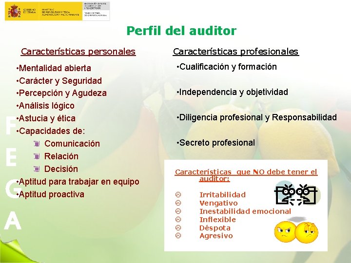 Perfil del auditor Características personales • Mentalidad abierta • Carácter y Seguridad • Percepción
