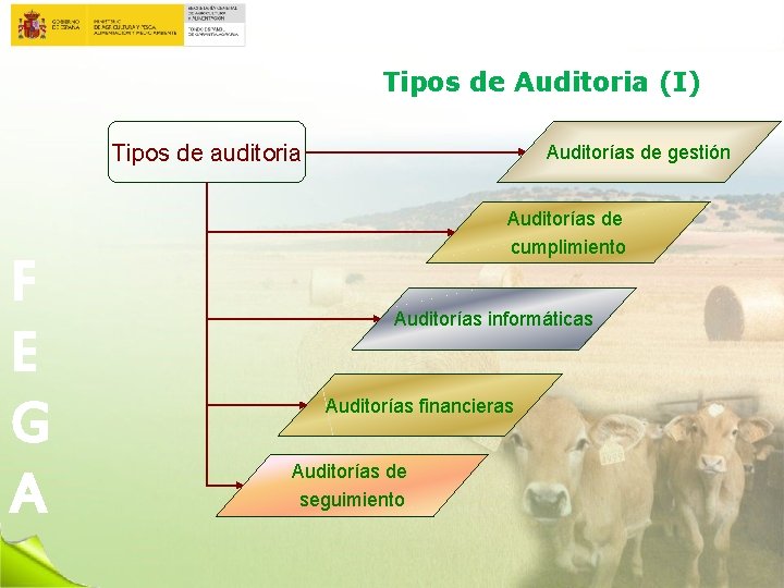 Tipos de Auditoria (I) Tipos de auditoria F E G A Auditorías de gestión