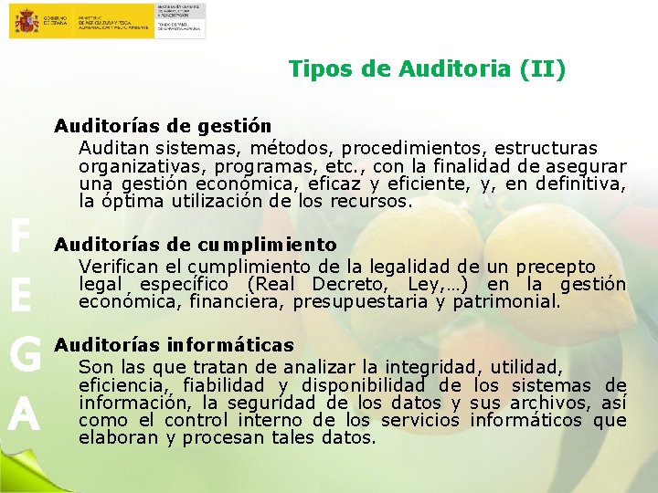 Tipos de Auditoria (II) Auditorías de gestión Auditan sistemas, métodos, procedimientos, estructuras organizativas, programas,