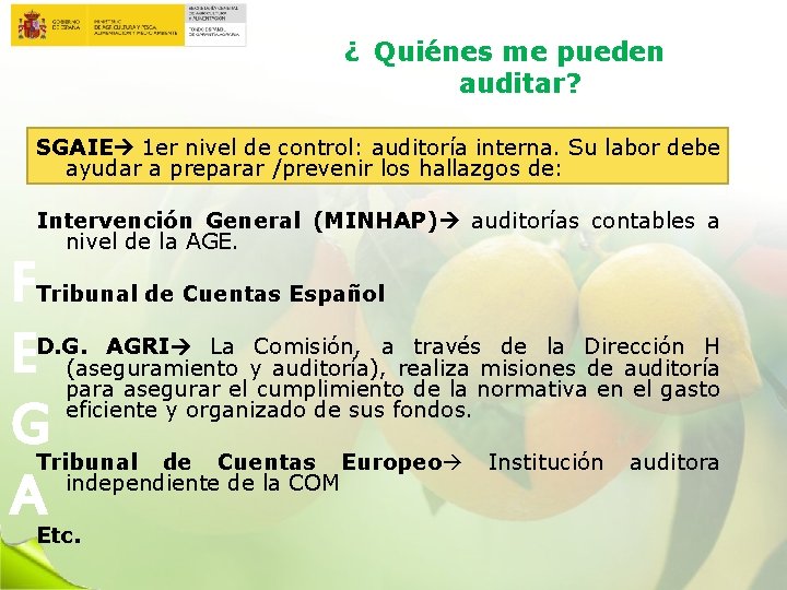 ¿ Quiénes me pueden auditar? SGAIE 1 er nivel de control: auditoría interna. Su