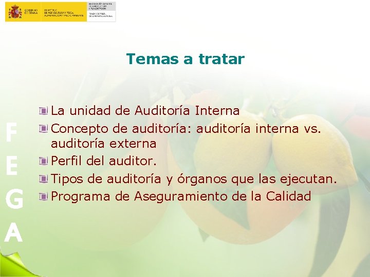 Temas a tratar F E G A La unidad de Auditoría Interna Concepto de