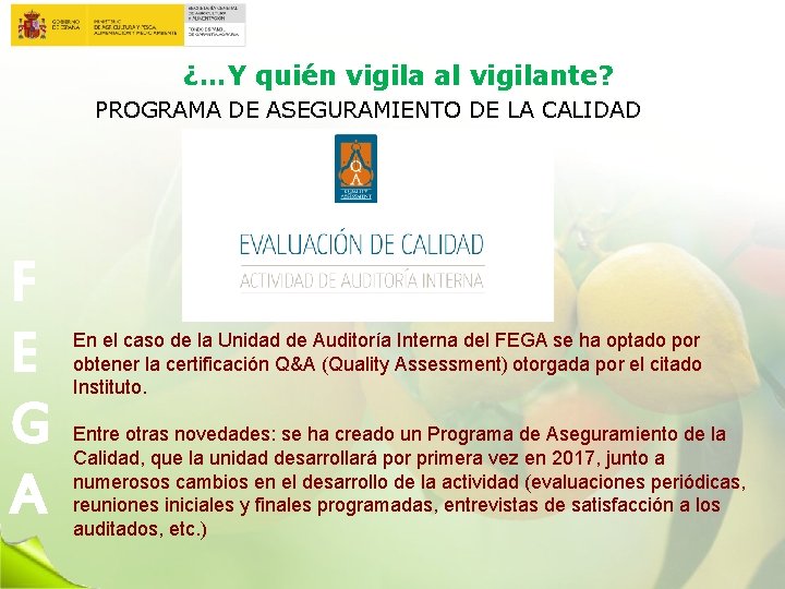 ¿…Y quién vigila al vigilante? PROGRAMA DE ASEGURAMIENTO DE LA CALIDAD F E G