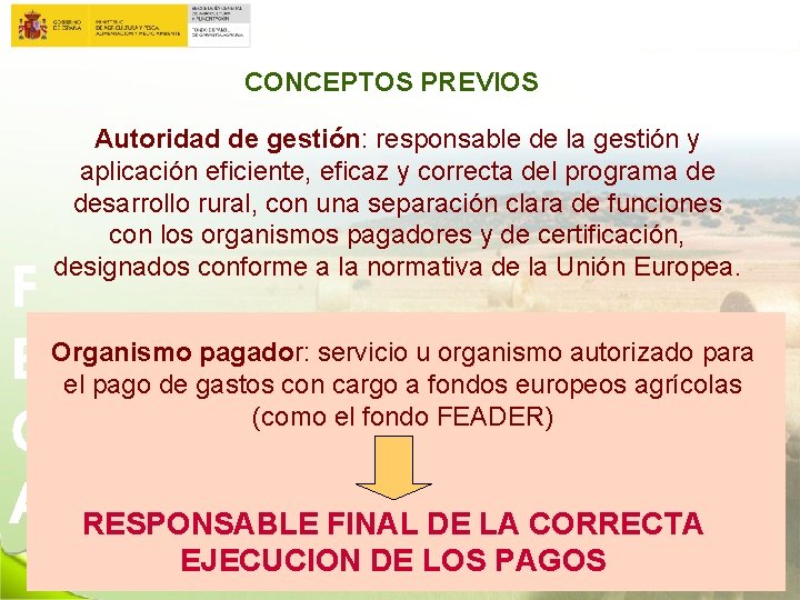 CONCEPTOS PREVIOS Autoridad de gestión: responsable de la gestión y aplicación eficiente, eficaz y