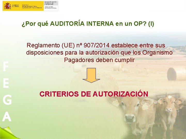 ¿Por qué AUDITORÍA INTERNA en un OP? (I) F E G A Reglamento (UE)