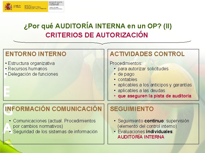 ¿Por qué AUDITORÍA INTERNA en un OP? (II) CRITERIOS DE AUTORIZACIÓN ENTORNO INTERNO ACTIVIDADES