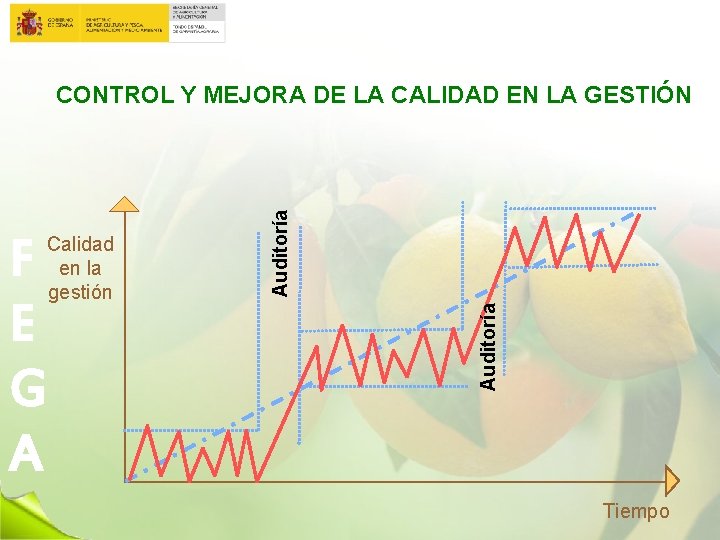 Auditoría F E G A Calidad en la gestión Auditoría CONTROL Y MEJORA DE