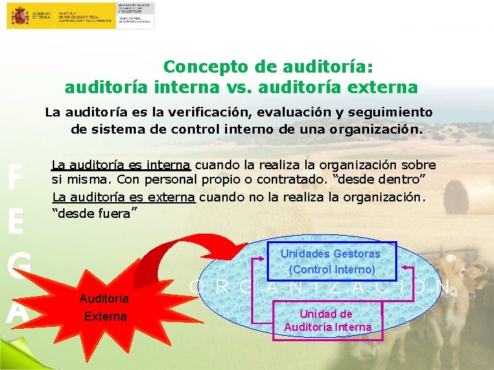 Concepto de auditoría: auditoría interna vs. auditoría externa La auditoría es la verificación, evaluación