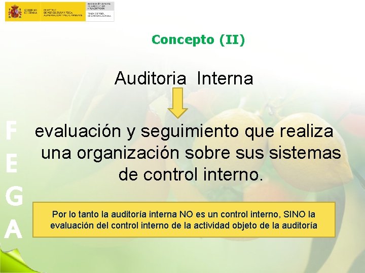 Concepto (II) Auditoria Interna F E G A evaluación y seguimiento que realiza una