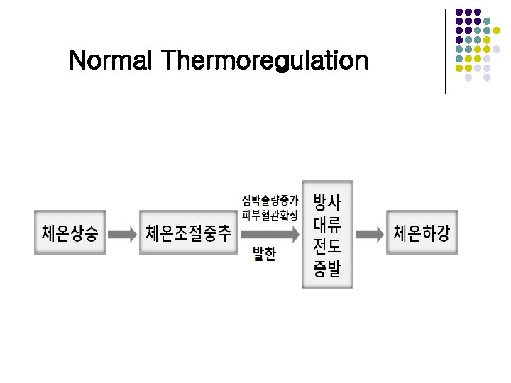 Normal Thermoregulation 