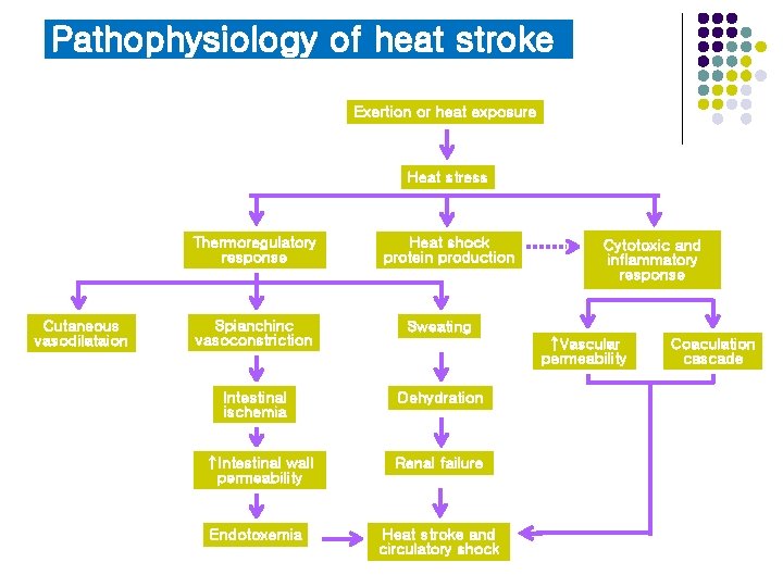 Pathophysiology of heat stroke Exertion or heat exposure Heat stress Thermoregulatory response Cutaneous vasodilataion