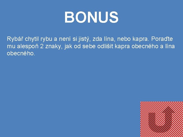 BONUS Rybář chytil rybu a není si jistý, zda lína, nebo kapra. Poraďte mu