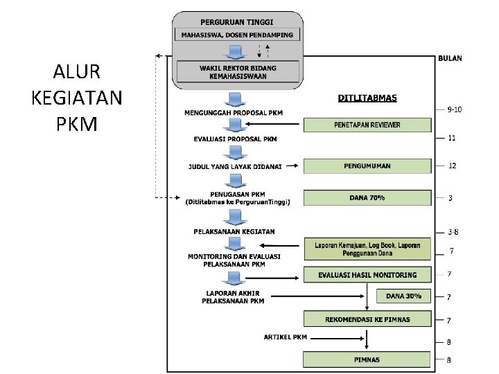 ALUR KEGIATAN PKM 