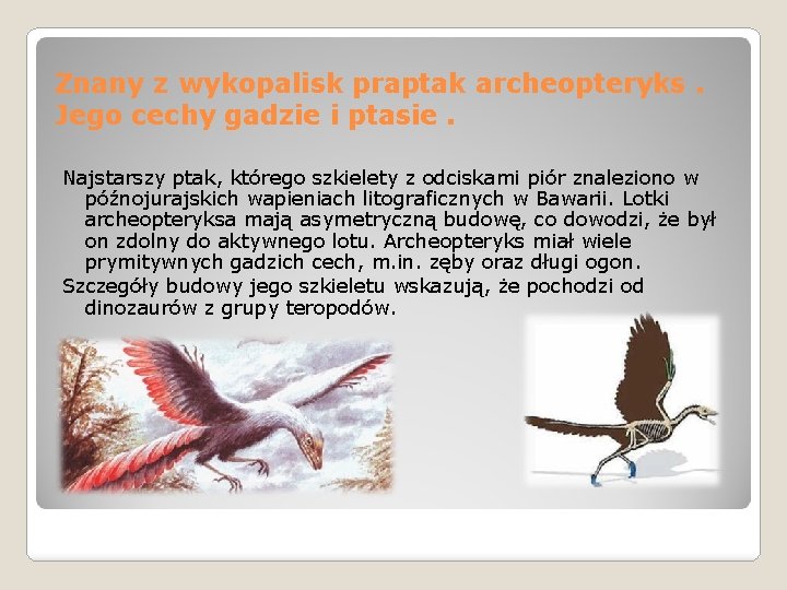 Znany z wykopalisk praptak archeopteryks. Jego cechy gadzie i ptasie. Najstarszy ptak, którego szkielety