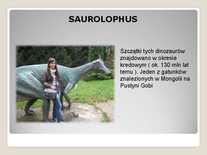 SAUROLOPHUS Szczątki tych dinozaurów znajdowano w okresie kredowym ( ok. 130 mln lat temu