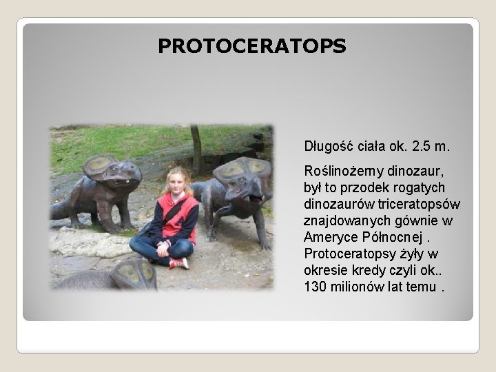 PROTOCERATOPS Długość ciała ok. 2. 5 m. Roślinożerny dinozaur, był to przodek rogatych dinozaurów