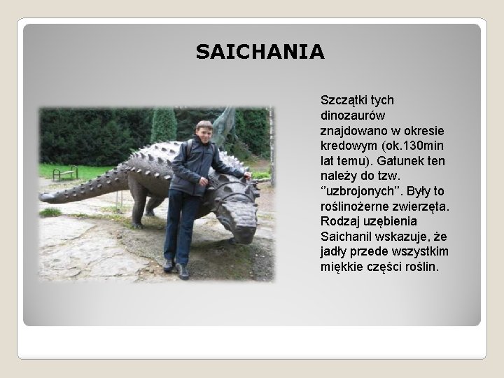  SAICHANIA Szczątki tych dinozaurów znajdowano w okresie kredowym (ok. 130 min lat temu).