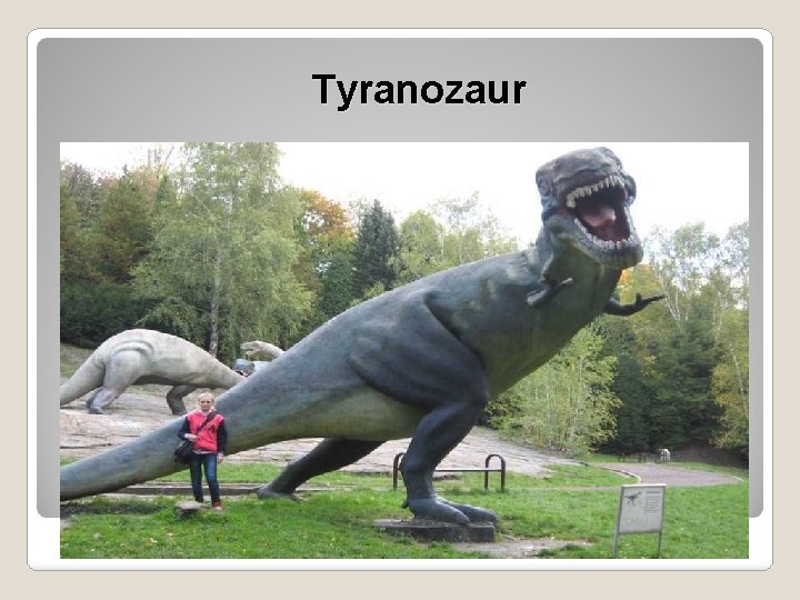 Tyranozaur 