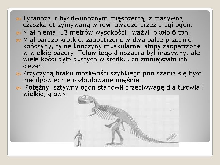  Tyranozaur był dwunożnym mięsożercą, z masywną czaszką utrzymywaną w równowadze przez długi ogon.