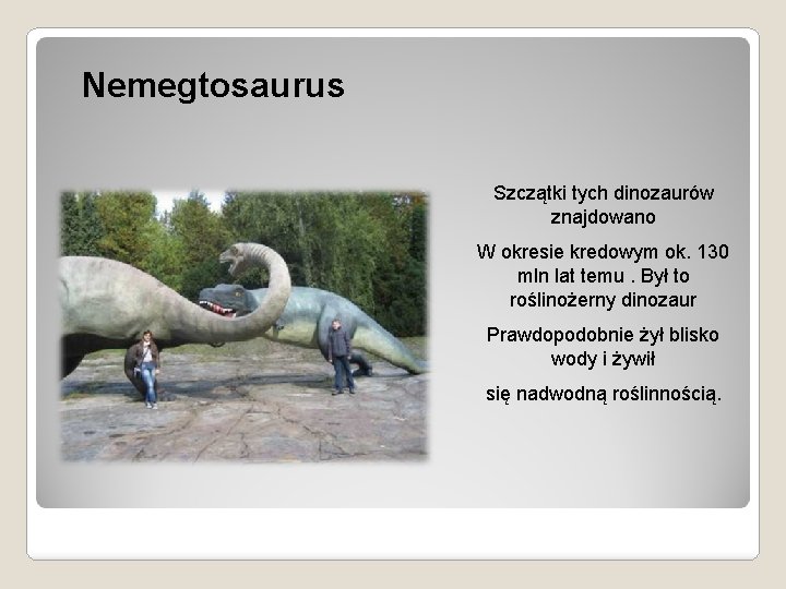 Nemegtosaurus Szczątki tych dinozaurów znajdowano W okresie kredowym ok. 130 mln lat temu. Był