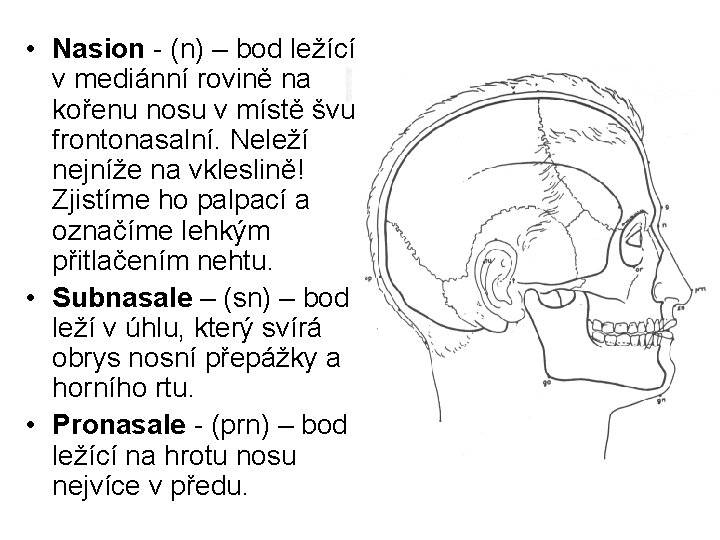  • Nasion - (n) – bod ležící v mediánní rovině na kořenu nosu