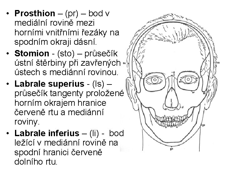  • Prosthion – (pr) – bod v mediální rovině mezi horními vnitřními řezáky