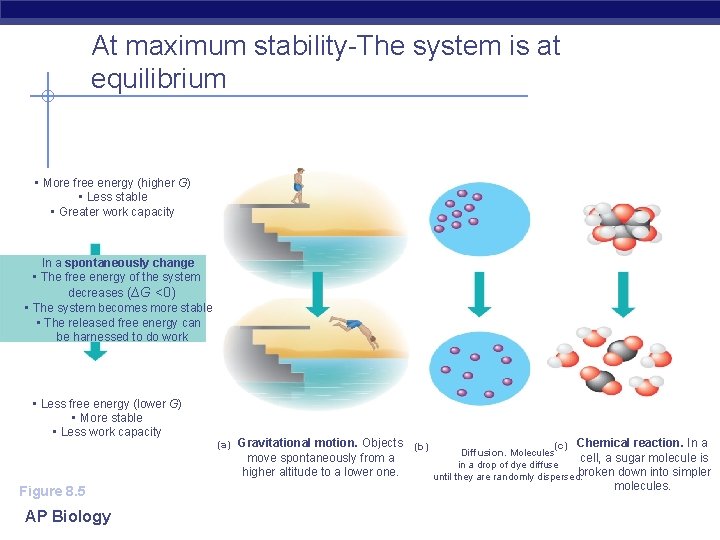 At maximum stability-The system is at equilibrium • More free energy (higher G) •