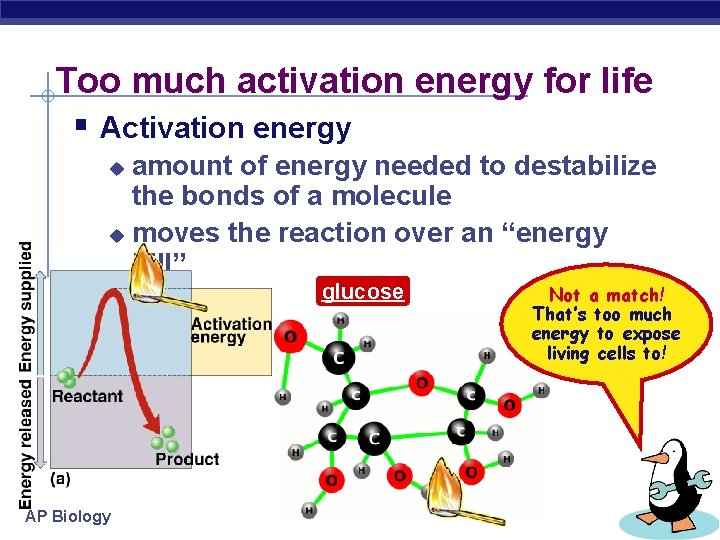 Too much activation energy for life § Activation energy amount of energy needed to