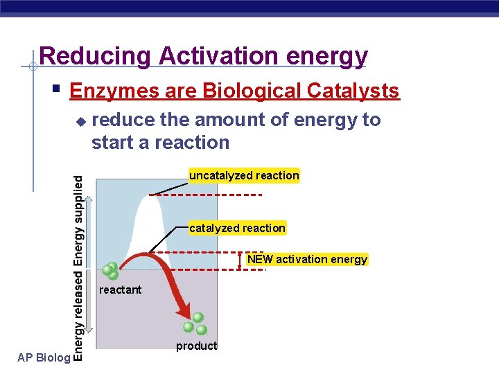 Reducing Activation energy § Enzymes are Biological Catalysts u reduce the amount of energy