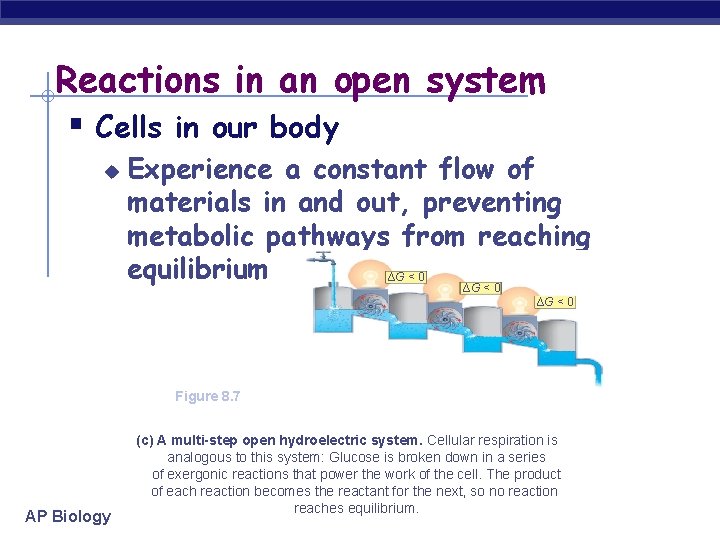 Reactions in an open system § Cells in our body u Experience a constant