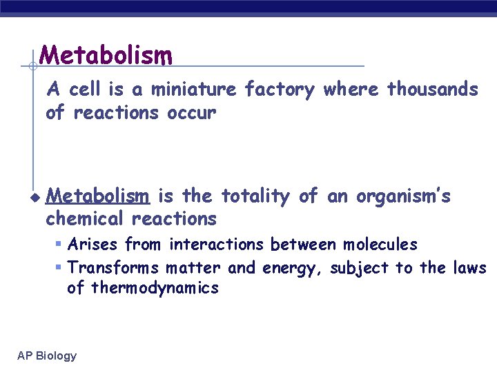 Metabolism A cell is a miniature factory where thousands of reactions occur u Metabolism