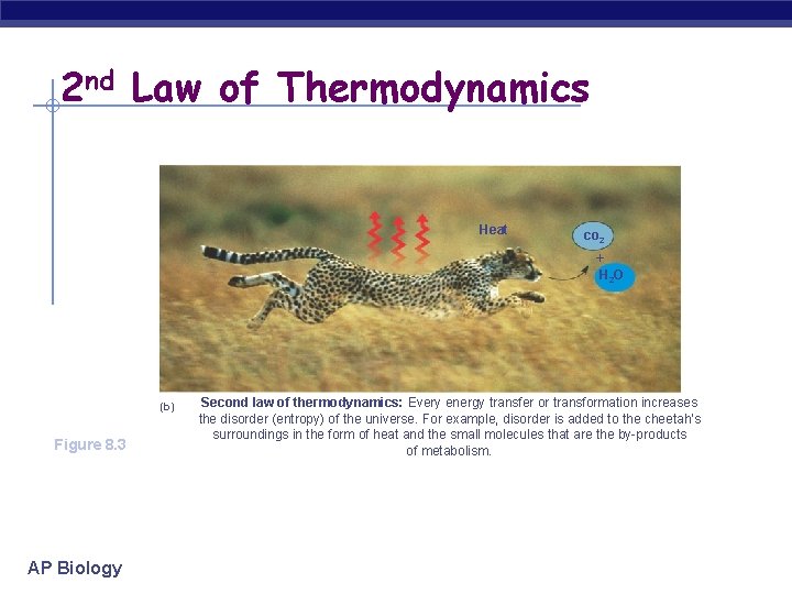 2 nd Law of Thermodynamics Heat co 2 + H 2 O (b) Figure