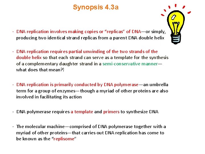 Synopsis 4. 3 a - DNA replication involves making copies or “replicas” of DNA—or