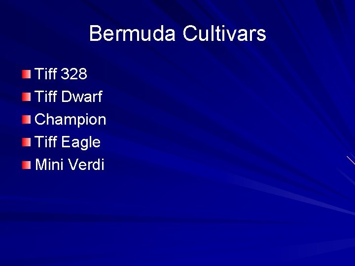 Bermuda Cultivars Tiff 328 Tiff Dwarf Champion Tiff Eagle Mini Verdi 