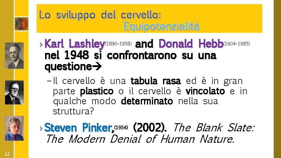 Lo sviluppo del cervello: Equipotenzialità › Karl Lashley(1890– 1958) and Donald Hebb(1904– 1985) nel