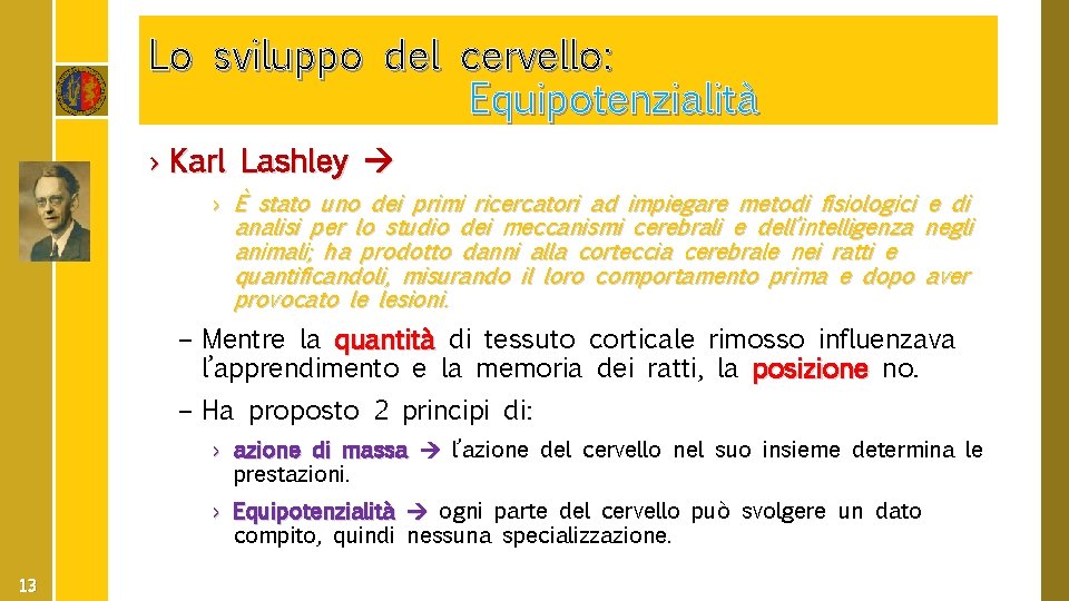 Lo sviluppo del cervello: Equipotenzialità › Karl Lashley › È stato uno dei primi